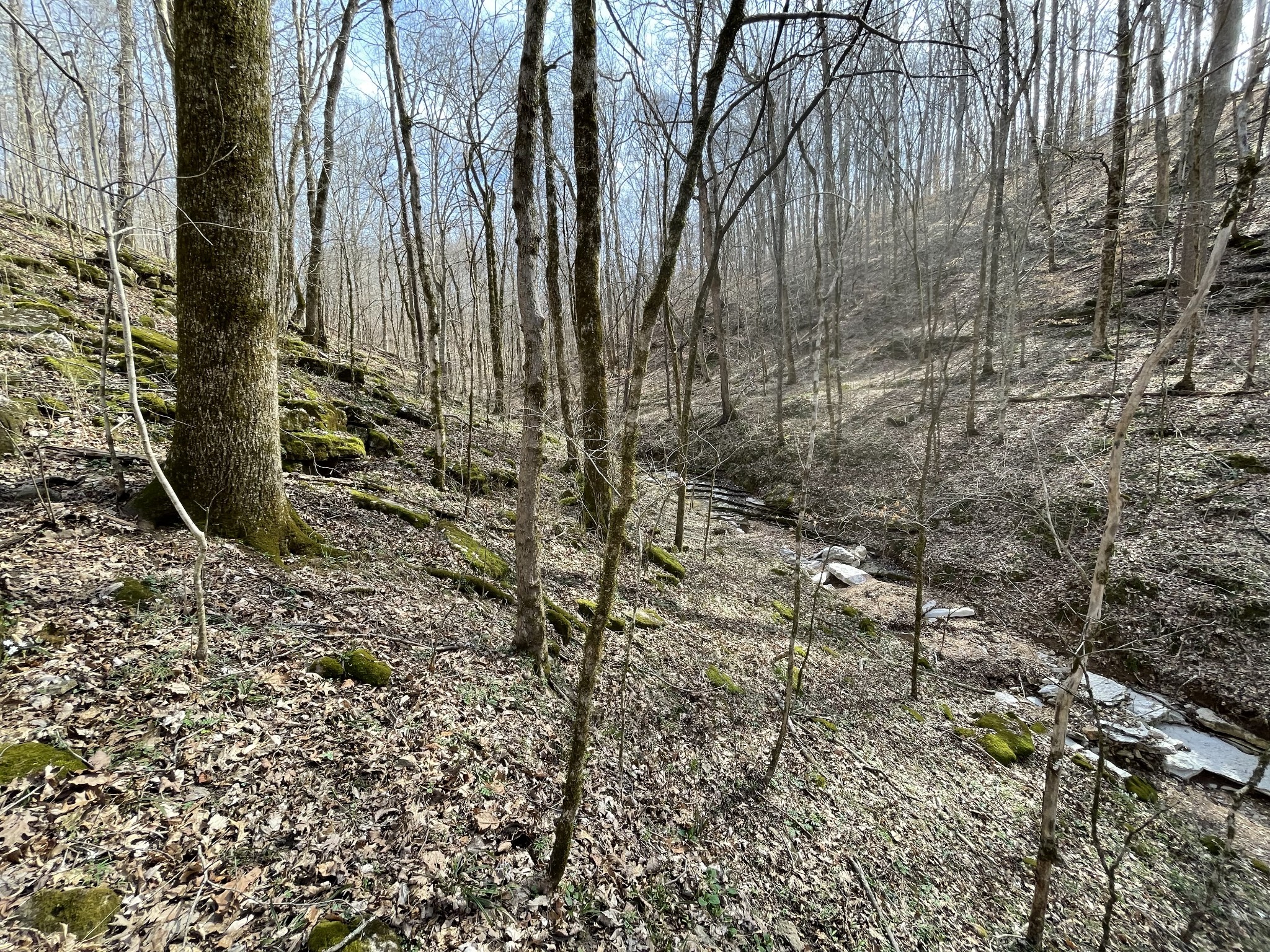 0 Whitson Bend Road Centerville, TN 37033 - Photo 31 of 36 Gallery Image 31