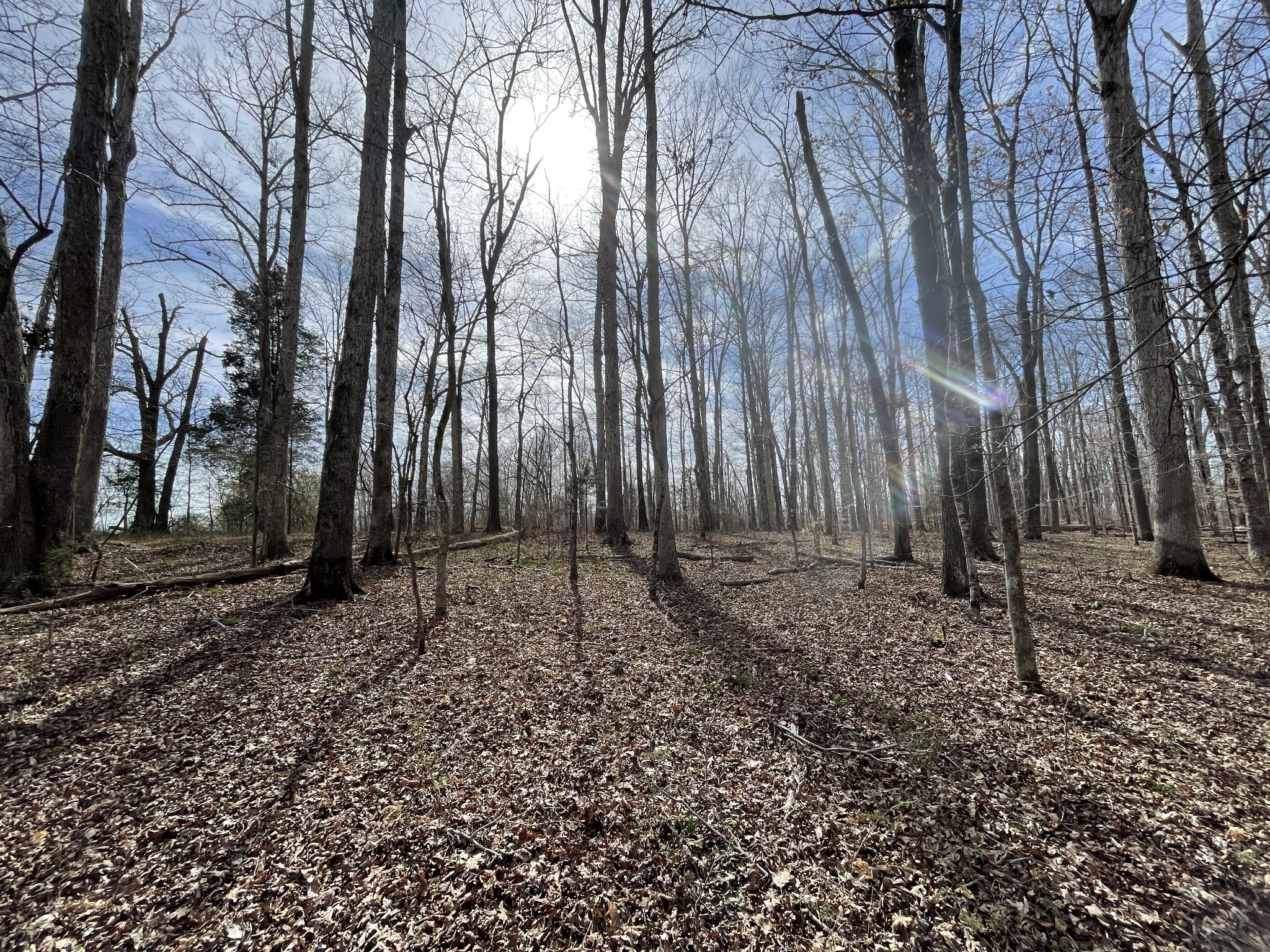 0 Whitson Bend Road Centerville, TN 37033 - Photo 10 of 36 Gallery Image 10