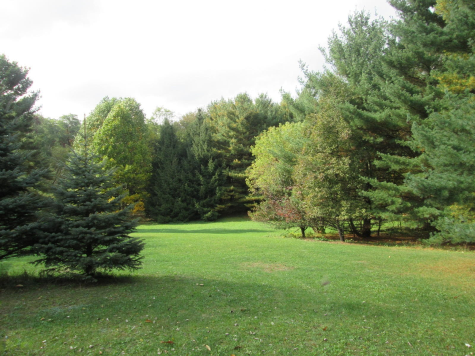 23112 Featherstone Road Sturgis, MI 49091 - Photo 27 of 29 Back