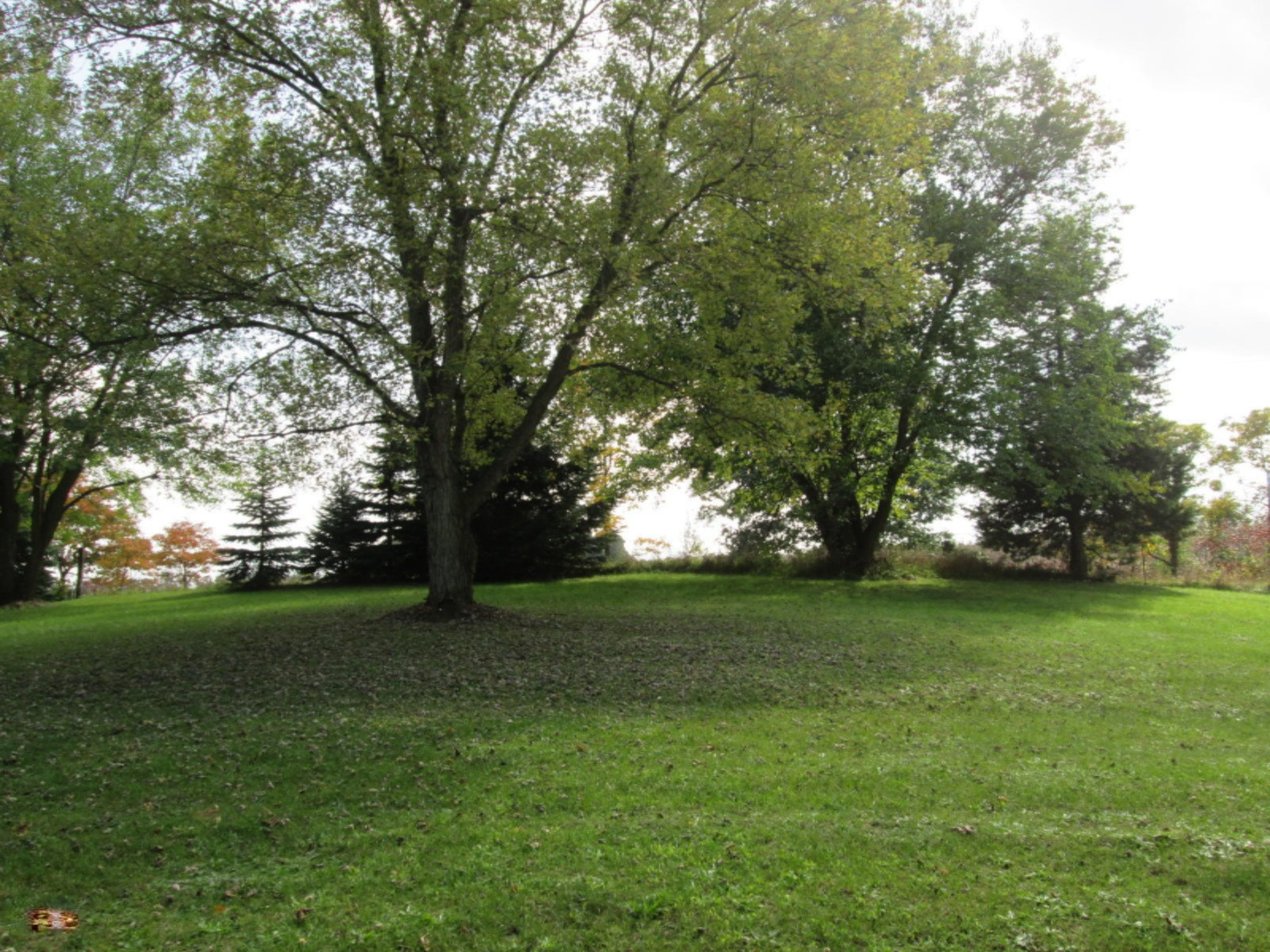 23112 Featherstone Road Sturgis, MI 49091 - Photo 5 of 29 Front Yard
