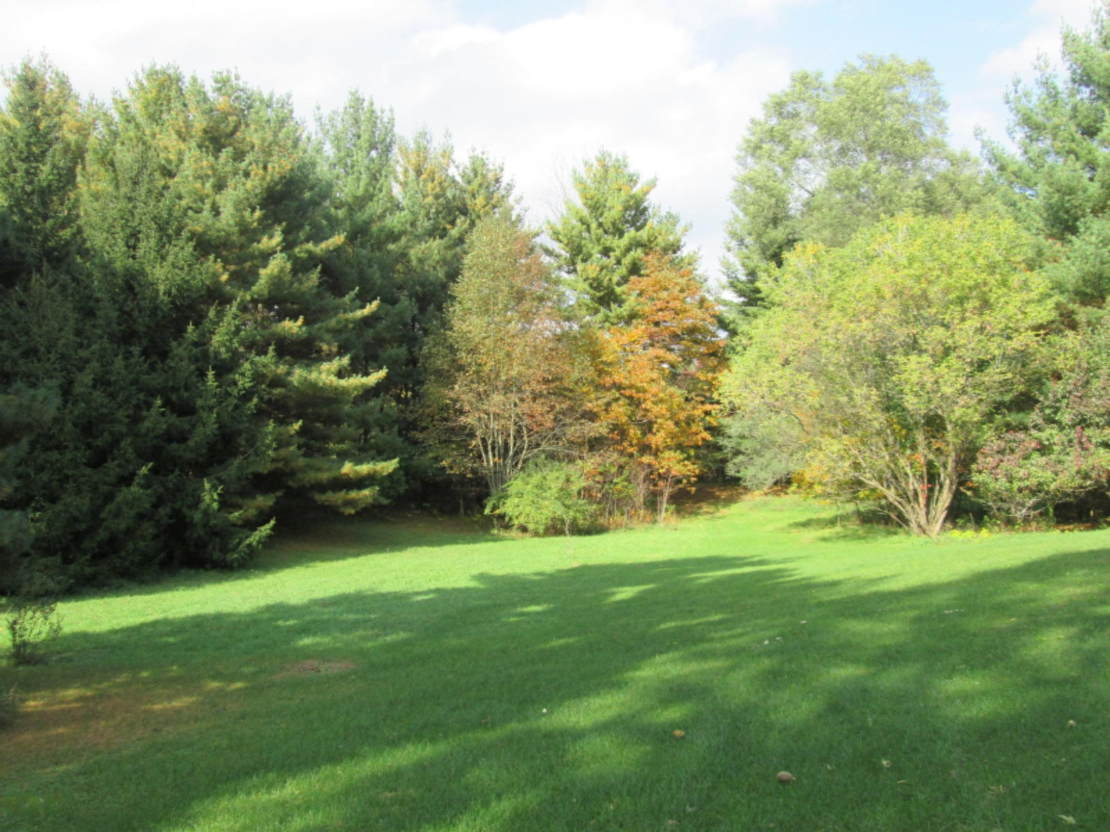 23112 Featherstone Road Sturgis, MI 49091 - Photo 6 of 29 Back