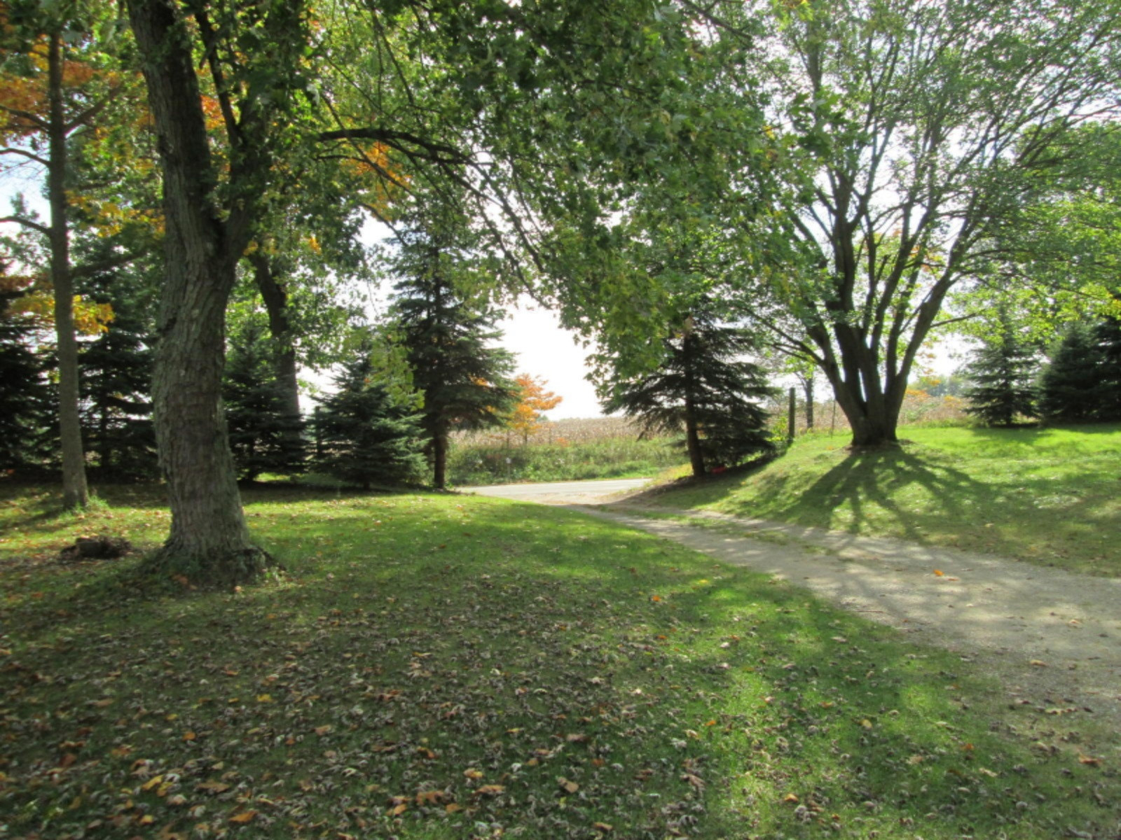 23112 Featherstone Road Sturgis, MI 49091 - Photo 7 of 29 Driveway