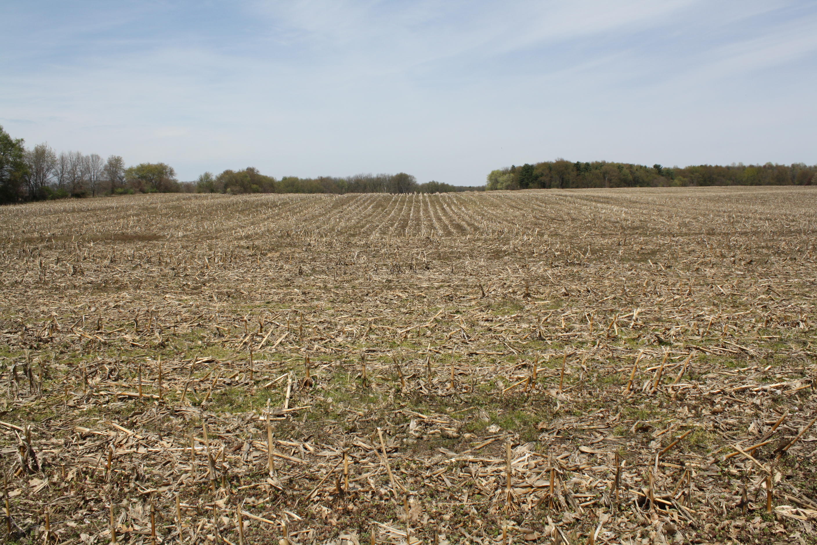 V/l #6 V/l Road Niles, MI 49120 - Photo 1 of 10 IMG_5353