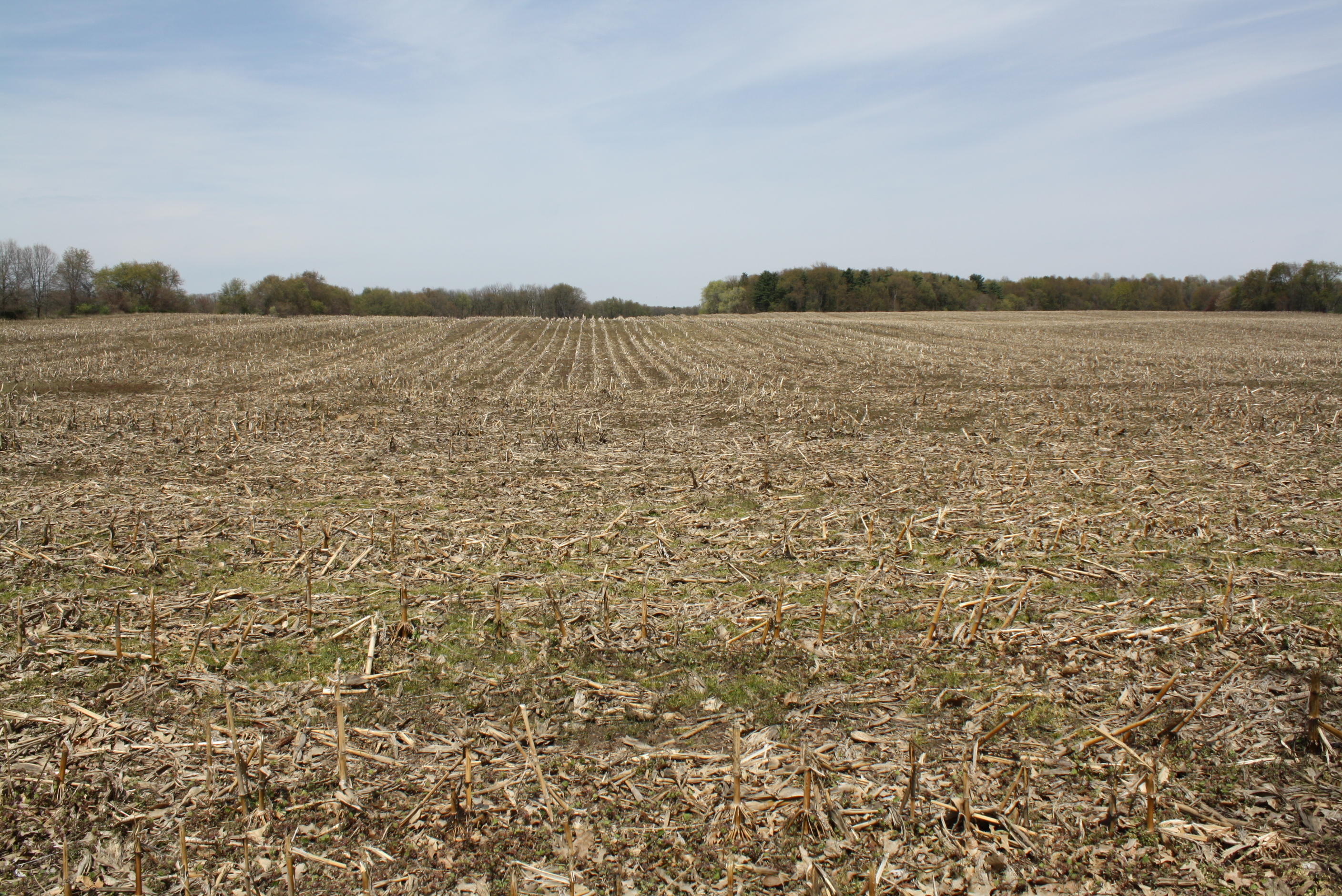 V/l #6 V/l Road Niles, MI 49120 - Photo 2 of 10 IMG_5354
