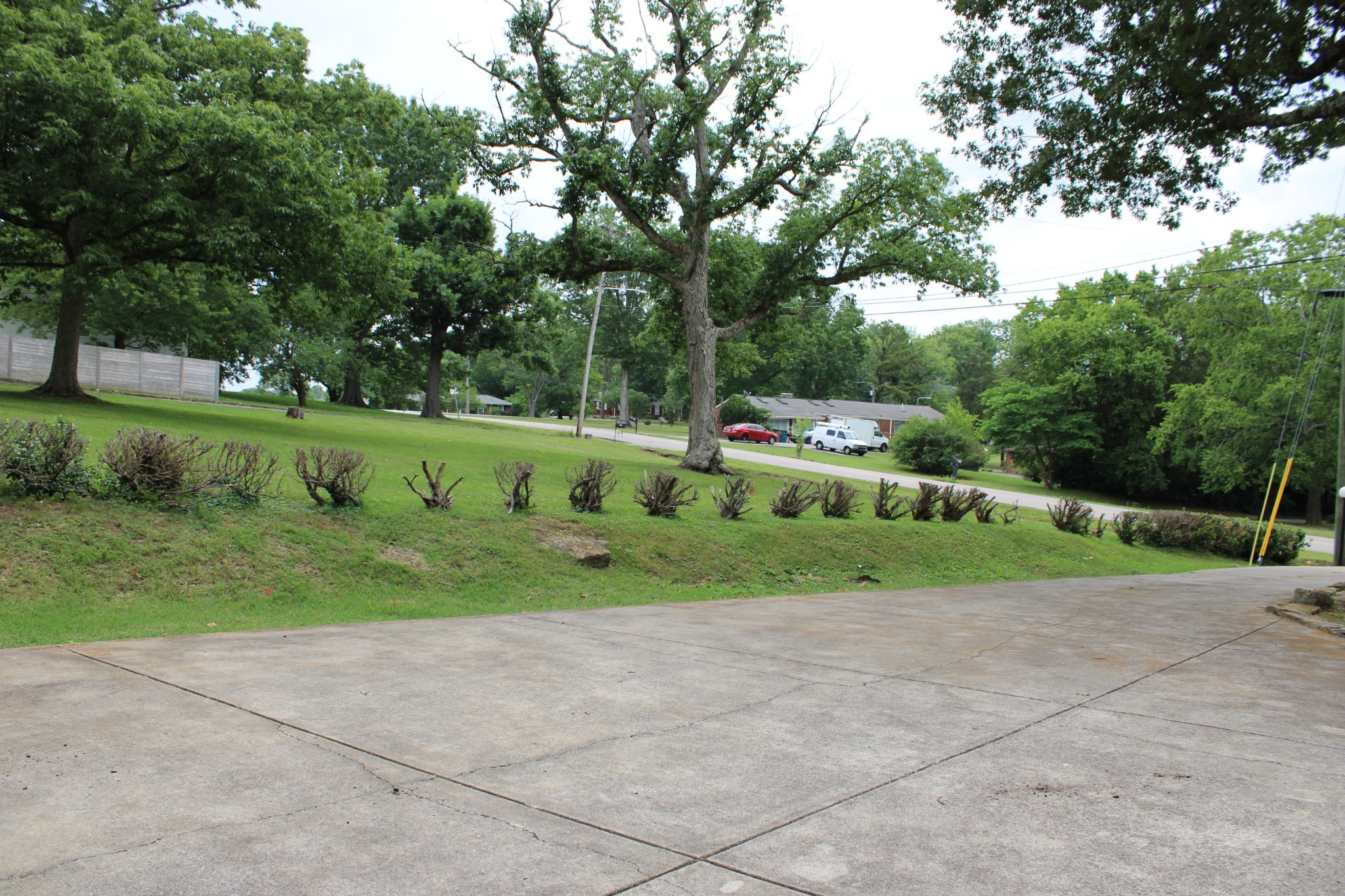 808 Nesbitt Lane Madison, TN 37115 - Photo 5 of 38 a view of a park with large trees