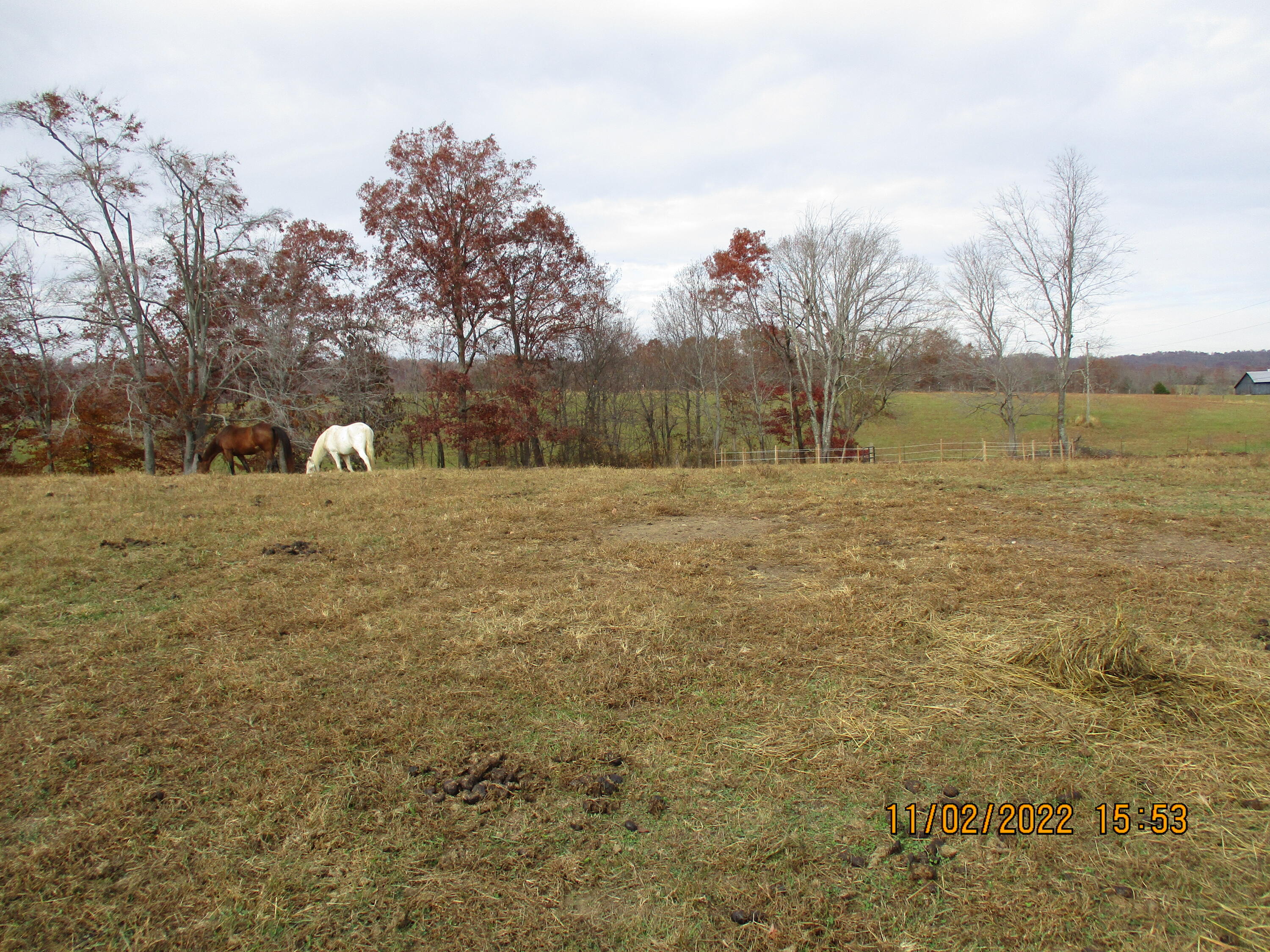 1600 Harris Creek Road Stanford, KY 40484 - Photo 61 of 68 IMG_0585