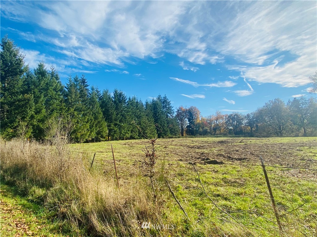 150 East Howe Road Toledo, WA 98591 - Photo 1 of 9