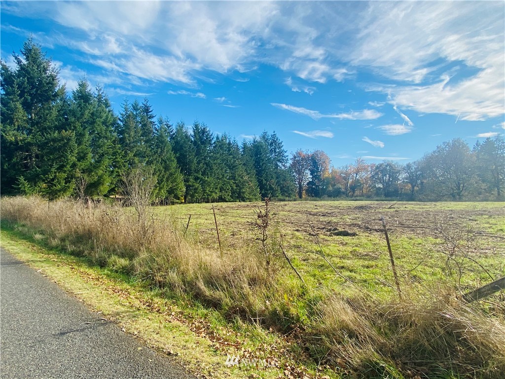 150 East Howe Road Toledo, WA 98591 - Photo 2 of 9