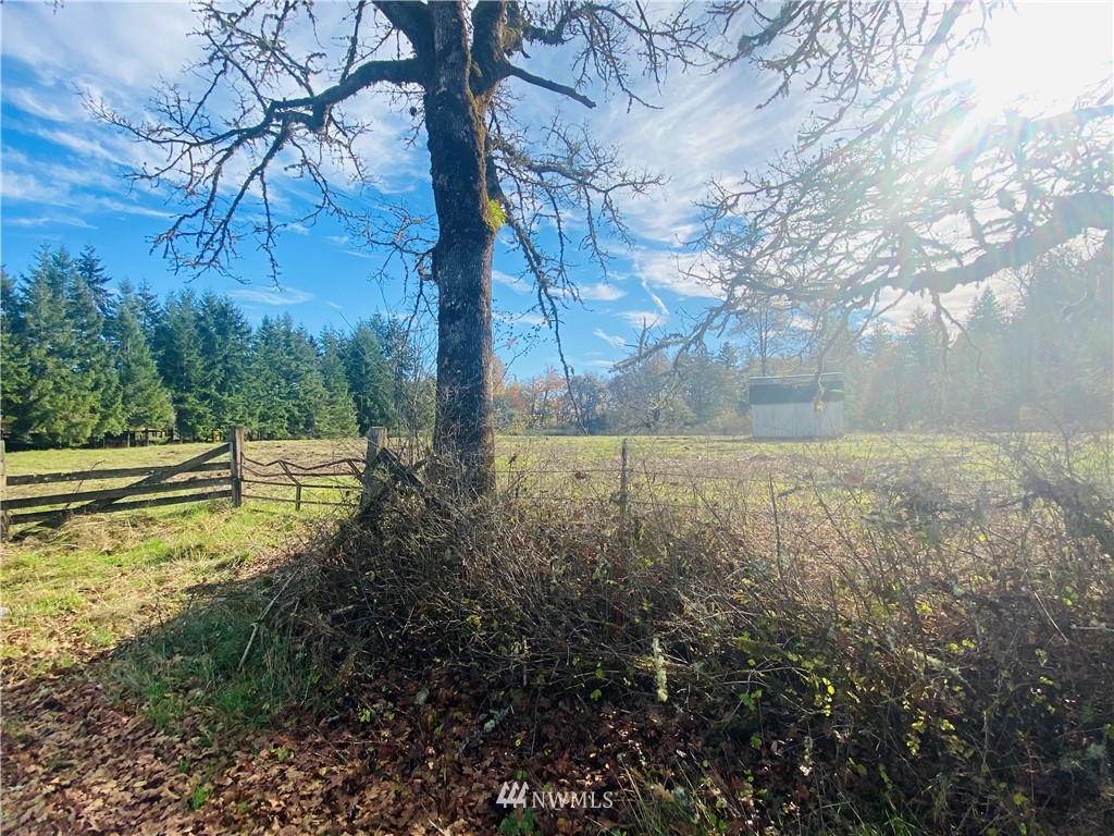150 East Howe Road Toledo, WA 98591 - Photo 3 of 9