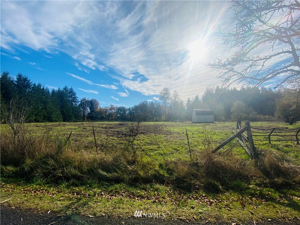 150 East Howe Road Toledo, WA 98591 - Photo 4 of 9