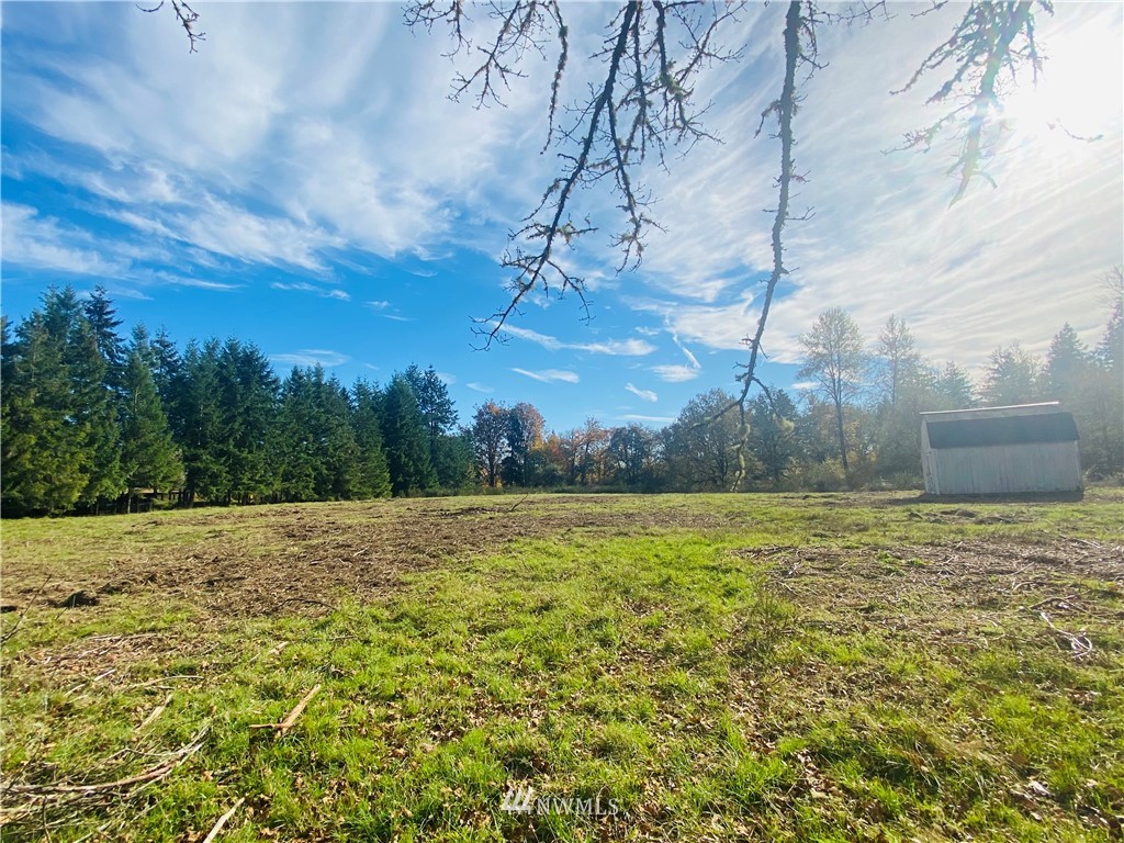 150 East Howe Road Toledo, WA 98591 - Photo 5 of 9