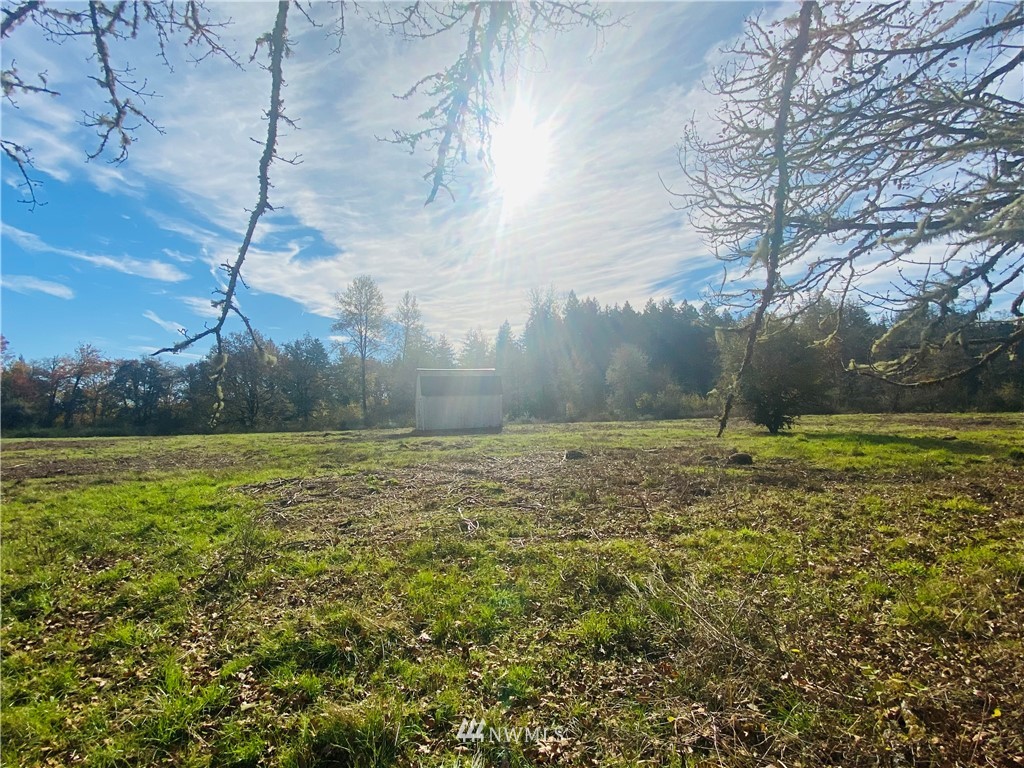 150 East Howe Road Toledo, WA 98591 - Photo 6 of 9