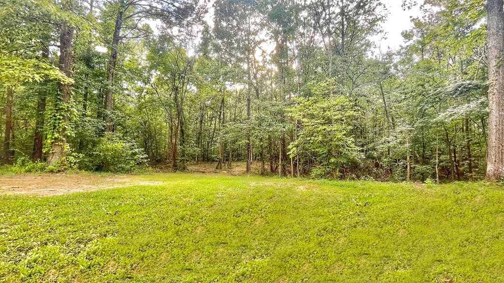 1186 Berry Bennett Road Chatsworth, GA 30705 - Photo 44 of 49 Gallery Image 44