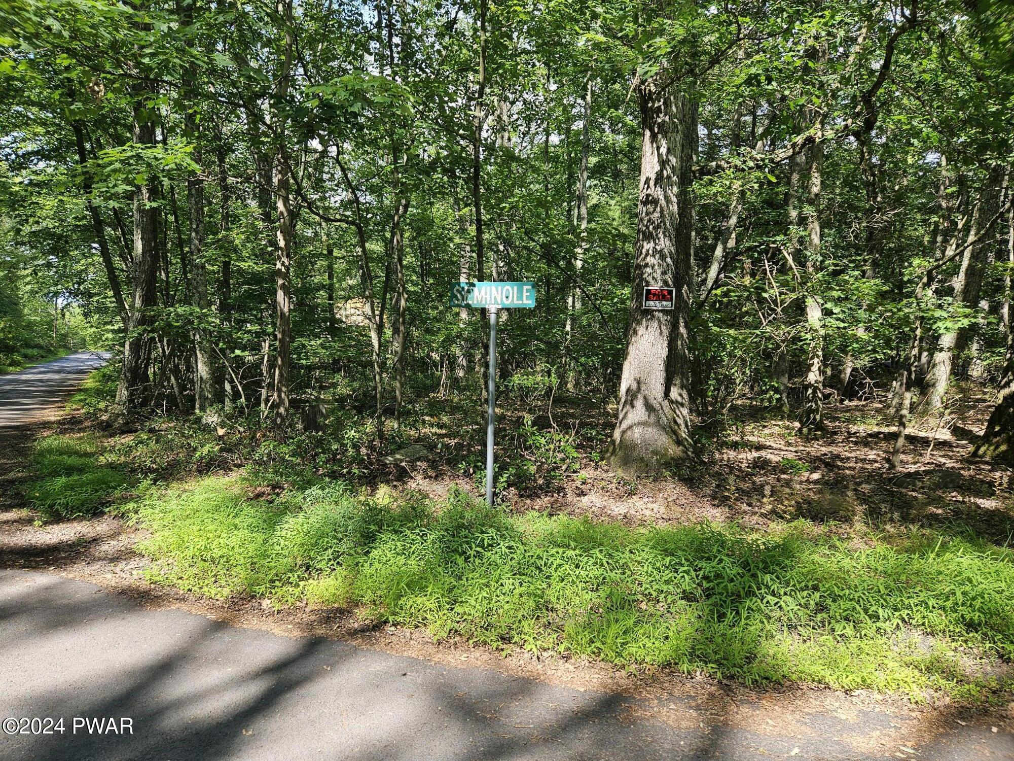 35-38 Seminole Road Shohola, PA 18458 - Photo 3 of 11