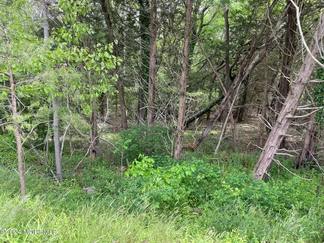 a backyard of a building with lots of green space