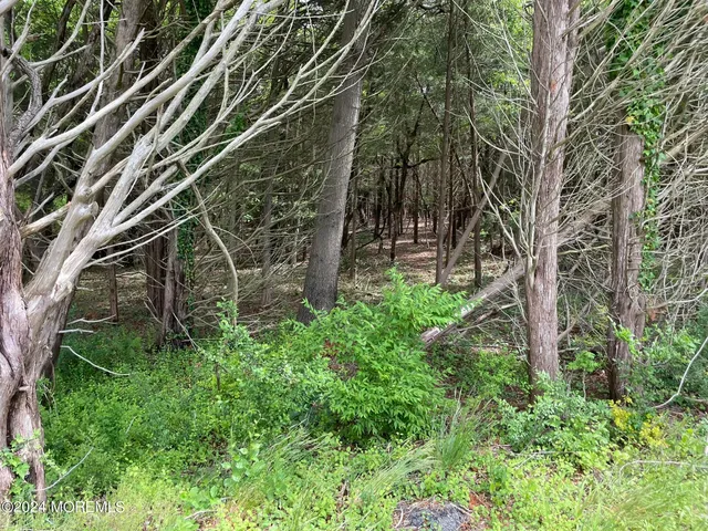 a view of small garden