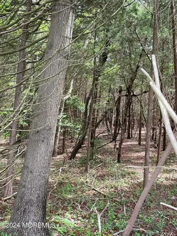 a view of yard with green space