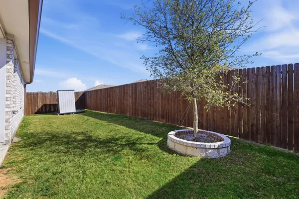 a view of a backyard with plants and tree