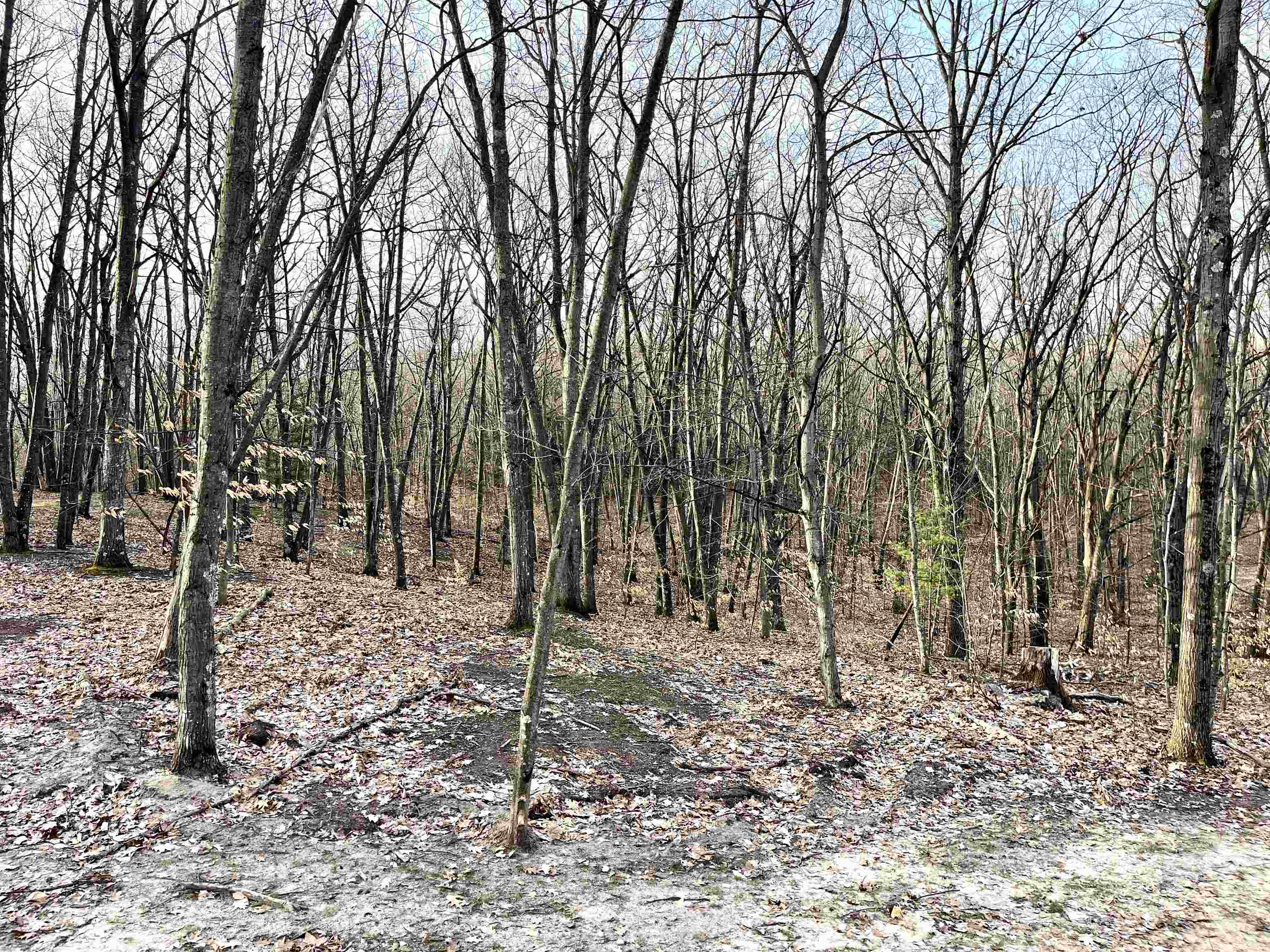 Parcel D West Trumbull Road Maple City, MI 49664 - Photo 9 of 10