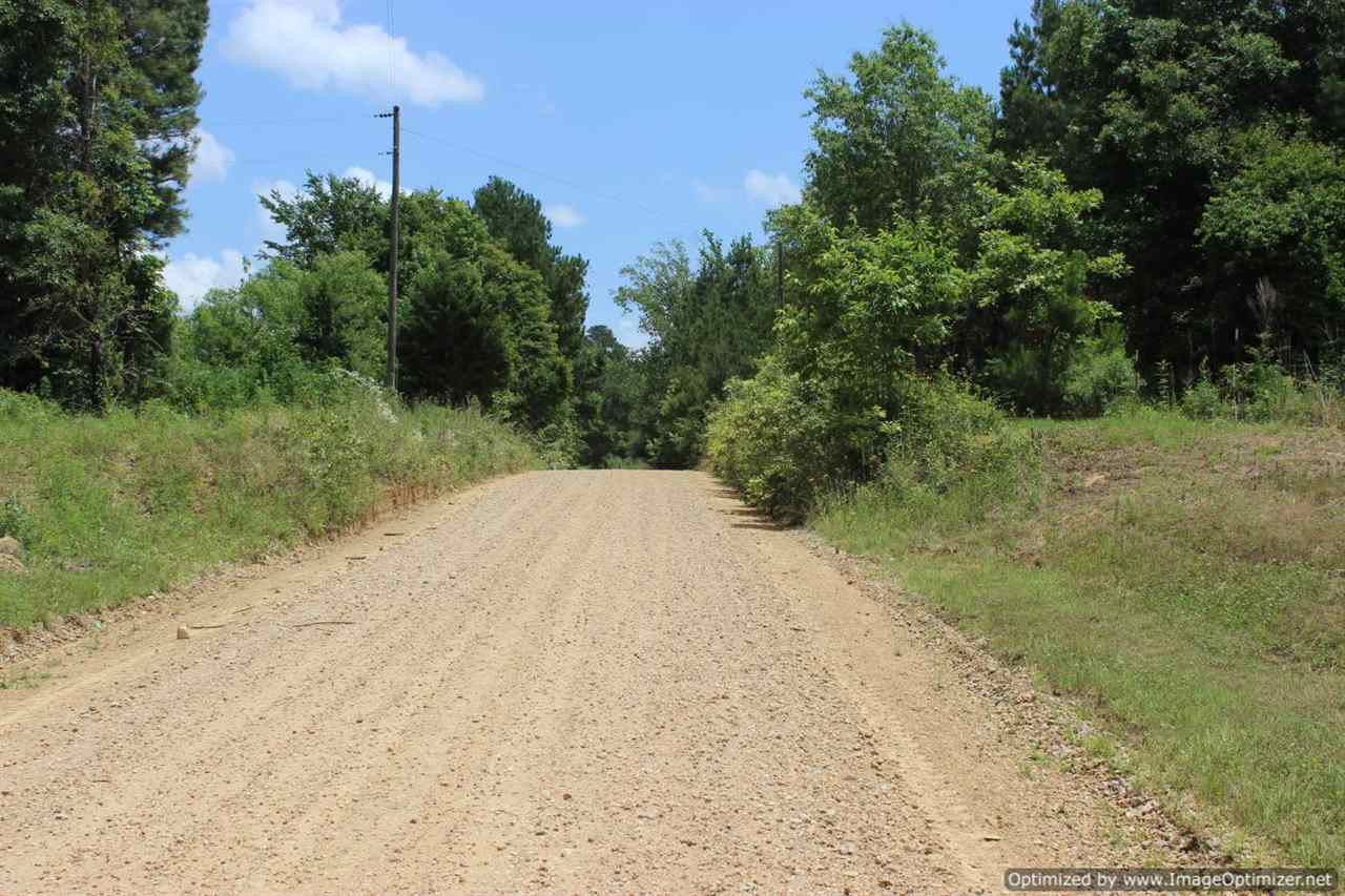 560 Mt Helm Road, Unit 1 Brandon, MS 39047 - Photo 8 of 9 Photo 8