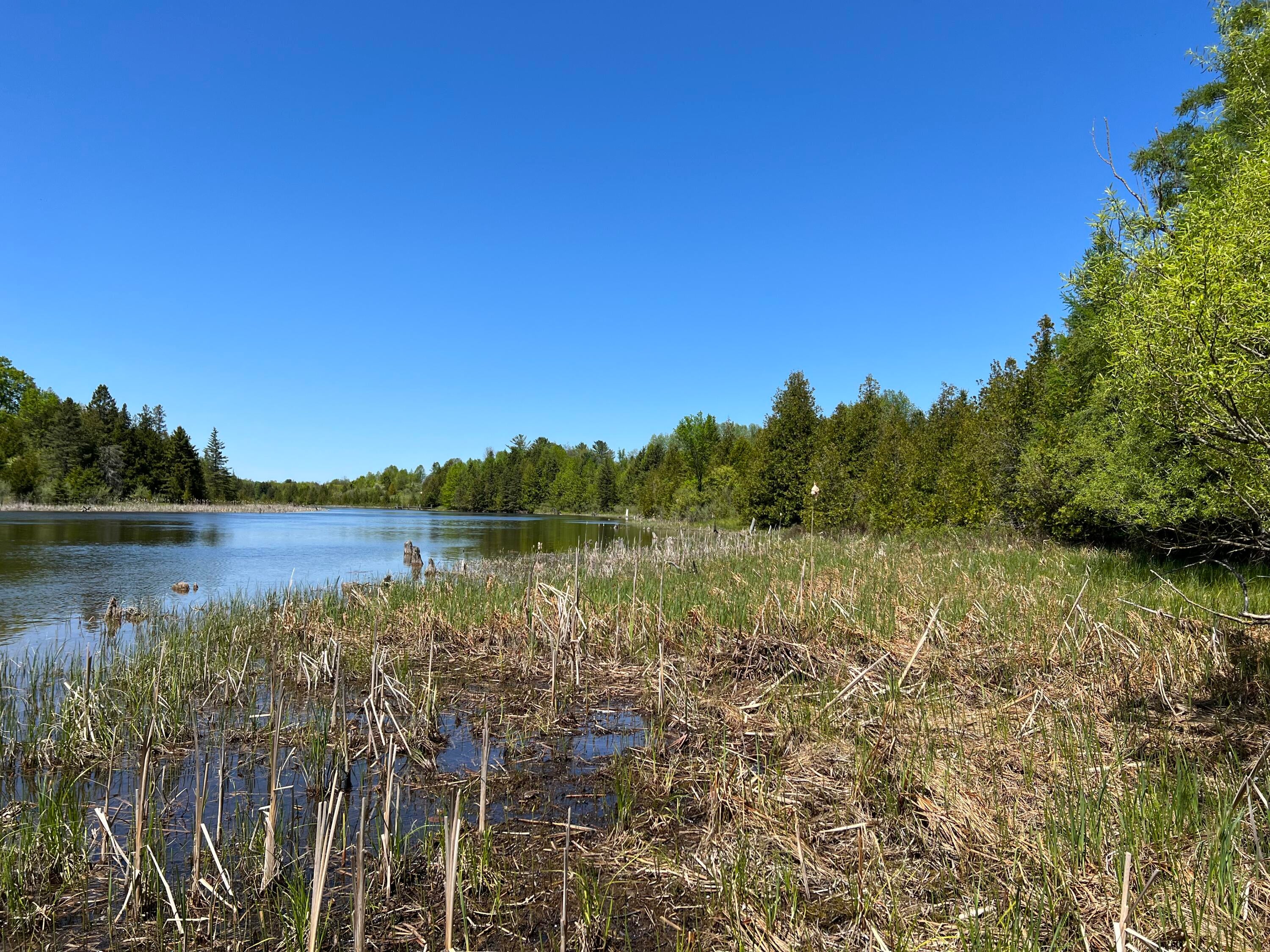 Lower Mograin Road Cheboygan, MI 49721 - Photo 5 of 16 Gallery Image 5