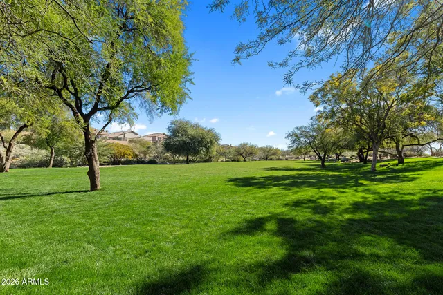 a view of field with trees