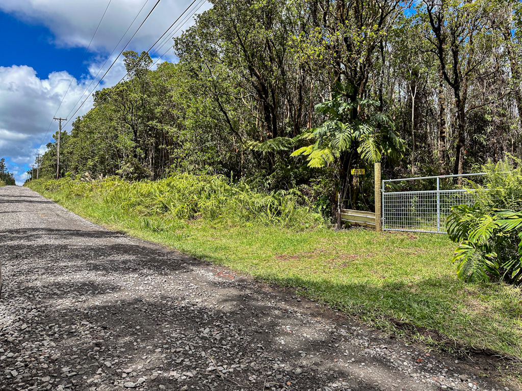 83 Kokokahi Road Pahoa, HI 96778 - Photo 3 of 15 Gallery Image 3