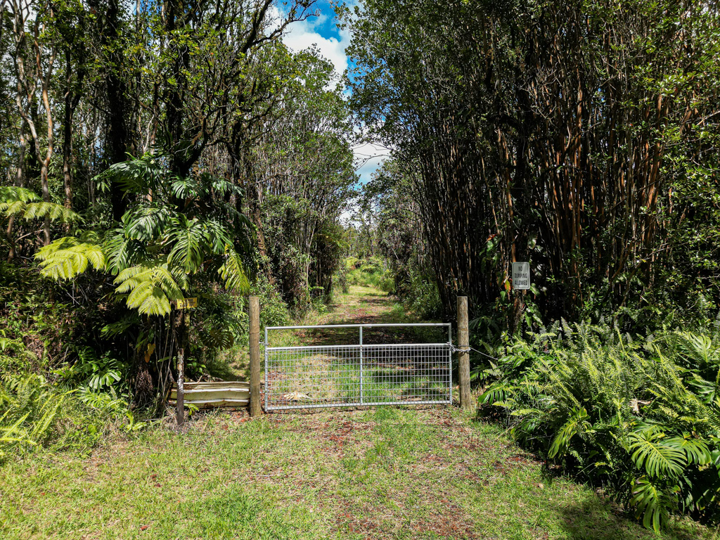 83 Kokokahi Road Pahoa, HI 96778 - Photo 4 of 15 Gallery Image 4