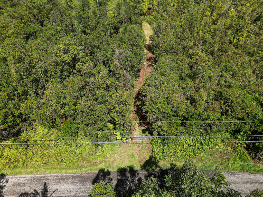 83 Kokokahi Road Pahoa, HI 96778 - Photo 6 of 15 Gallery Image 6