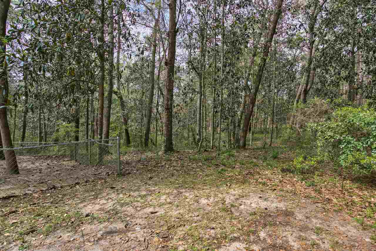 244 Conrad Hills Road Havana, FL 32333 - Photo 6 of 35 Gallery Image 6