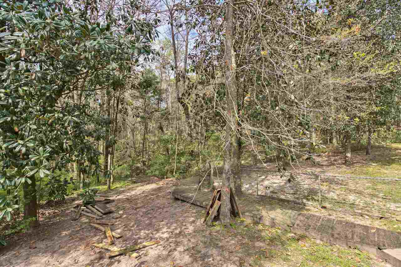244 Conrad Hills Road Havana, FL 32333 - Photo 9 of 35 Gallery Image 9