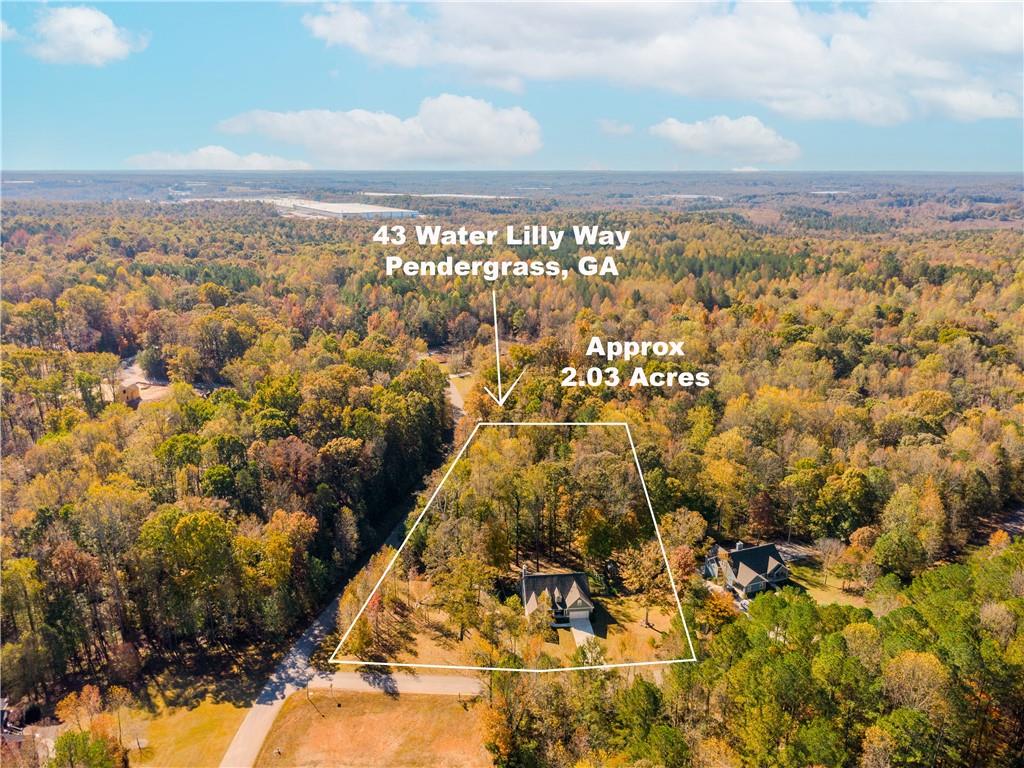 43 Water Lily Way Pendergrass, GA 30567 - Photo 59 of 71