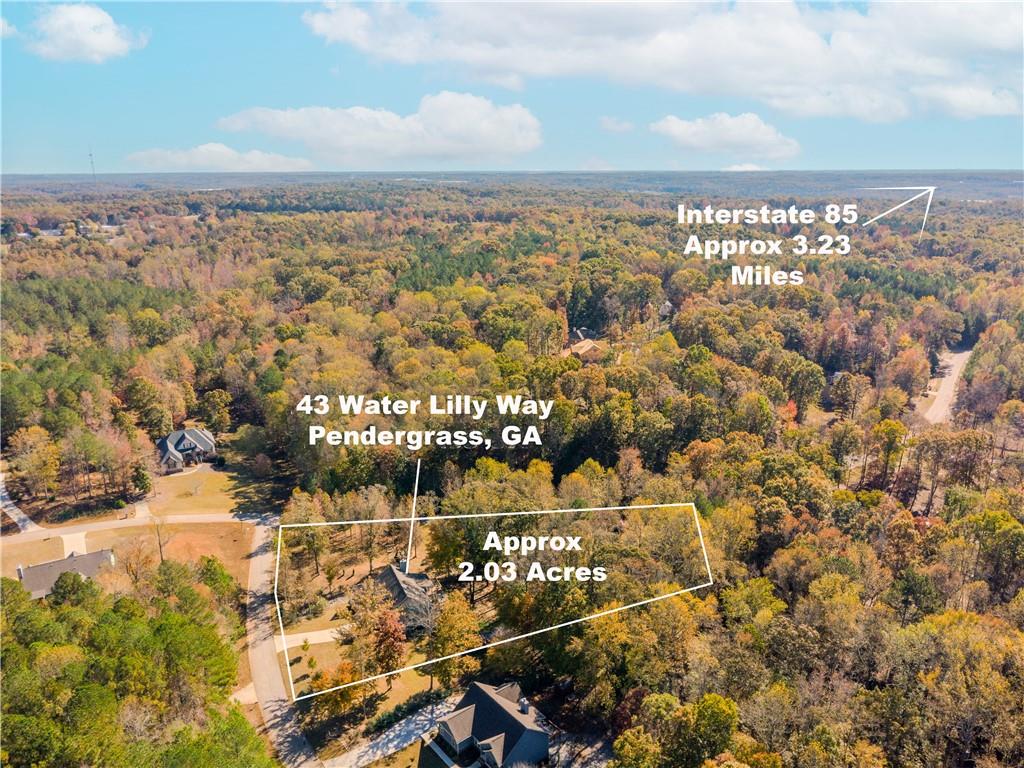 43 Water Lily Way Pendergrass, GA 30567 - Photo 60 of 71
