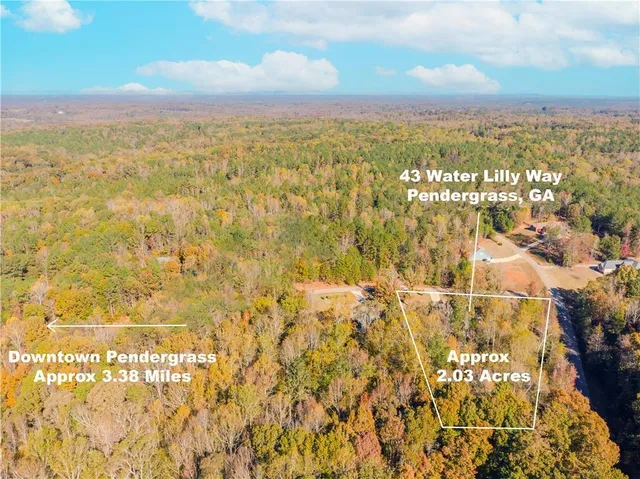 $699,900 | 43 Water Lily Way, Pendergrass, GA 30567