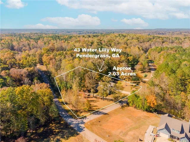 $699,900 | 43 Water Lily Way, Pendergrass, GA 30567
