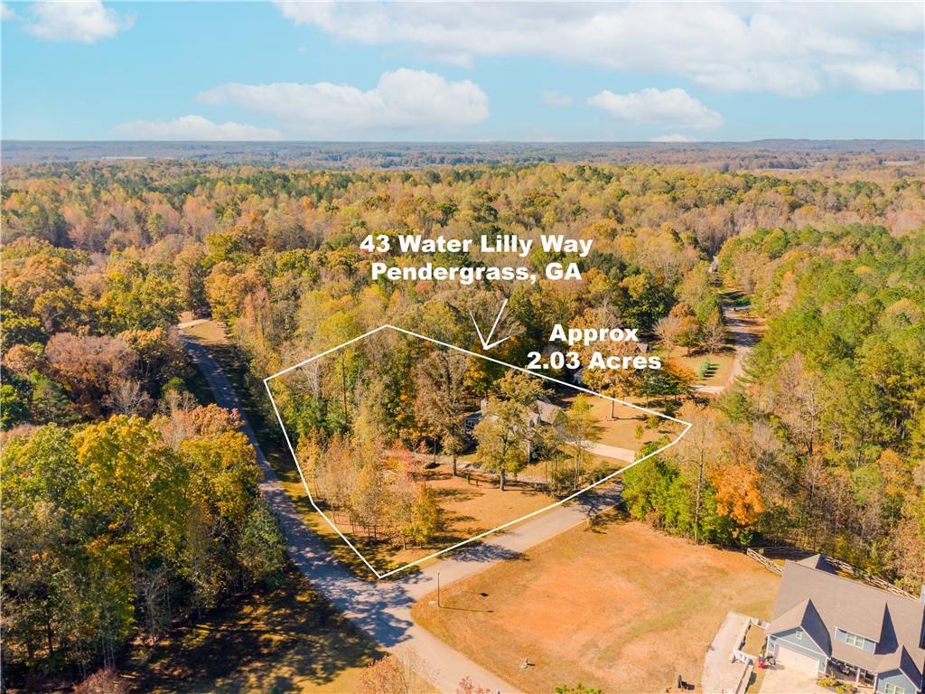43 Water Lily Way Pendergrass, GA 30567 - Photo 62 of 71