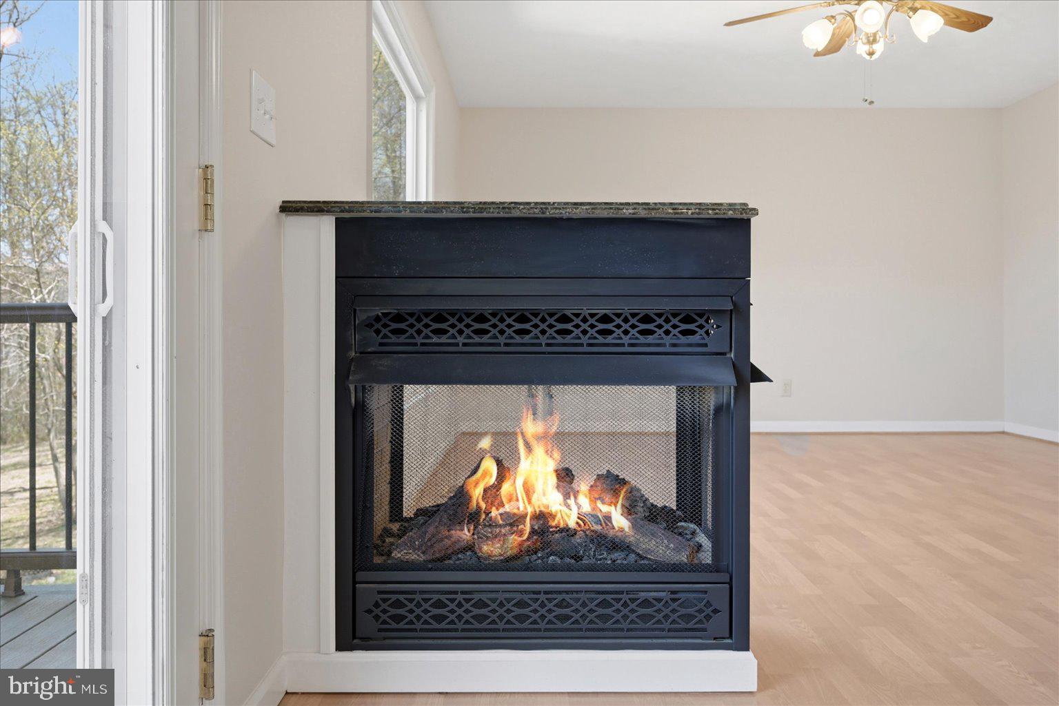 22009 Blue Ridge Mountain Road Paris, VA 20130 - Photo 15 of 43