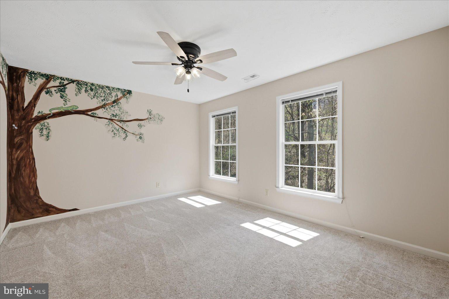 22009 Blue Ridge Mountain Road Paris, VA 20130 - Photo 27 of 43