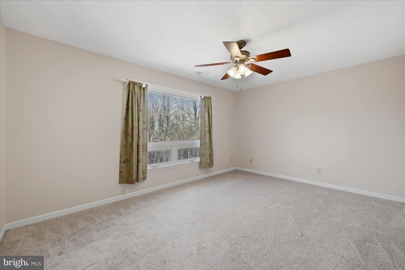 22009 Blue Ridge Mountain Road Paris, VA 20130 - Photo 30 of 43