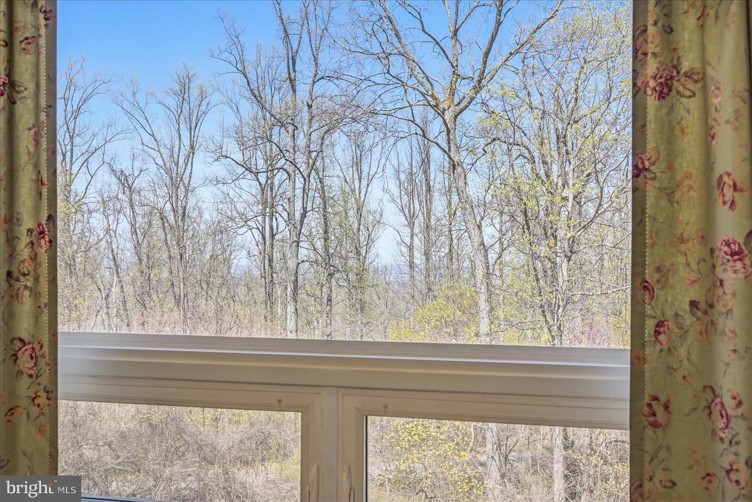 22009 Blue Ridge Mountain Road Paris, VA 20130 - Photo 32 of 43