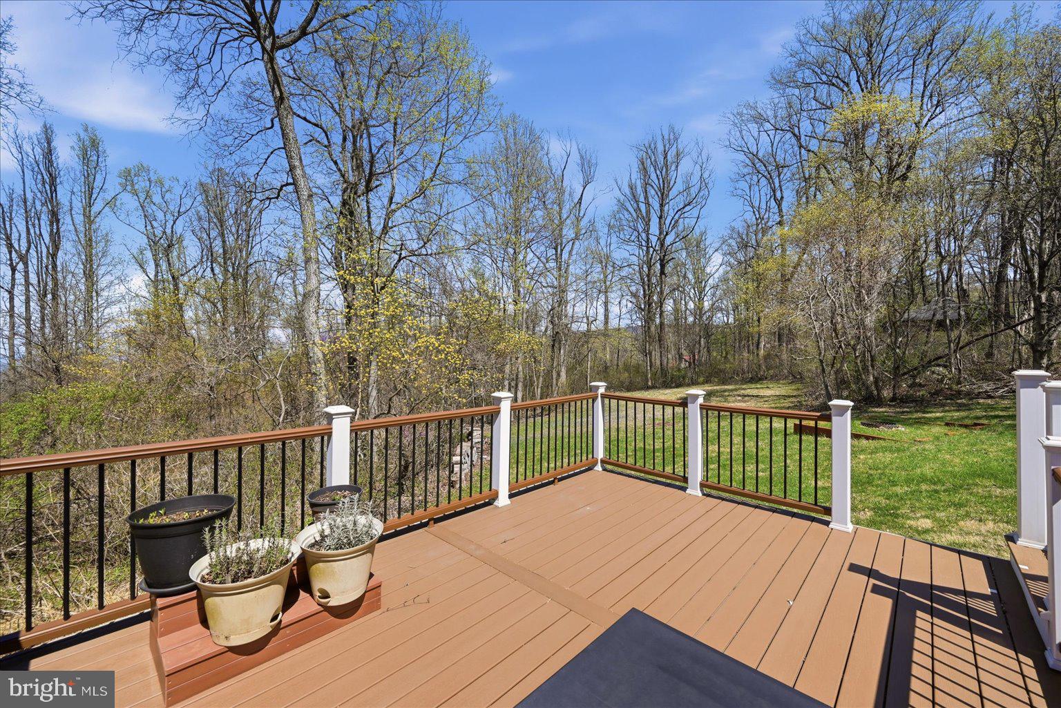 22009 Blue Ridge Mountain Road Paris, VA 20130 - Photo 38 of 43