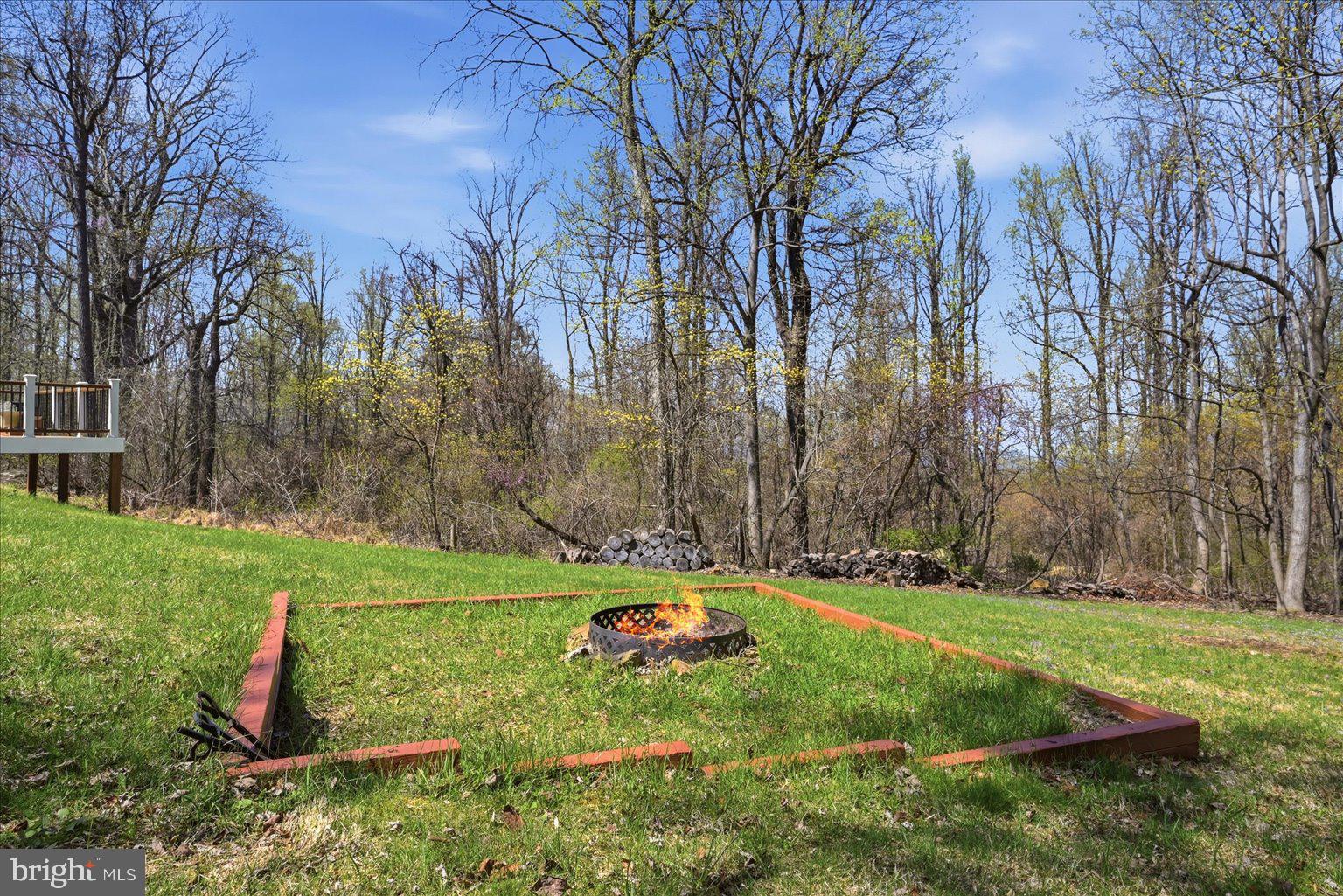 22009 Blue Ridge Mountain Road Paris, VA 20130 - Photo 39 of 43