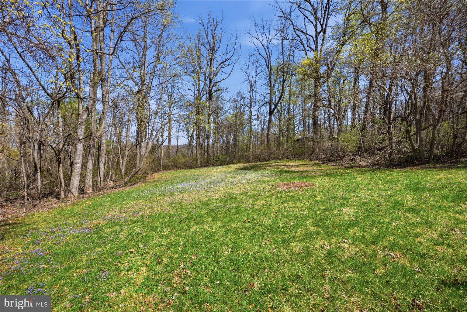 22009 Blue Ridge Mountain Road Paris, VA 20130 - Photo 41 of 43