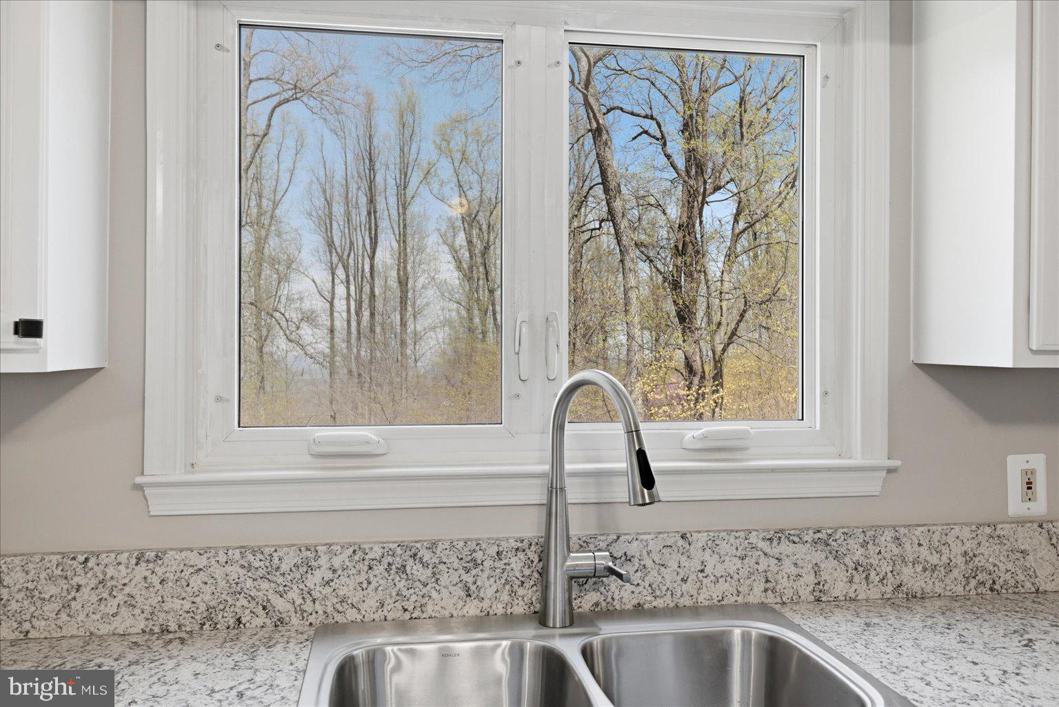 22009 Blue Ridge Mountain Road Paris, VA 20130 - Photo 6 of 43