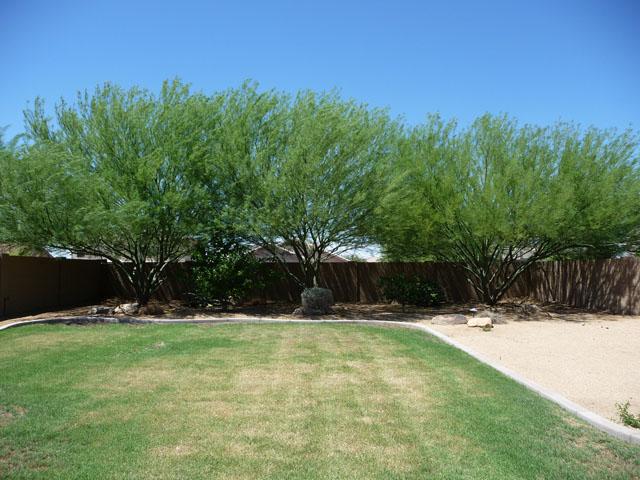 2416 West Carter Road Phoenix, AZ 85041 - Photo 3 of 32