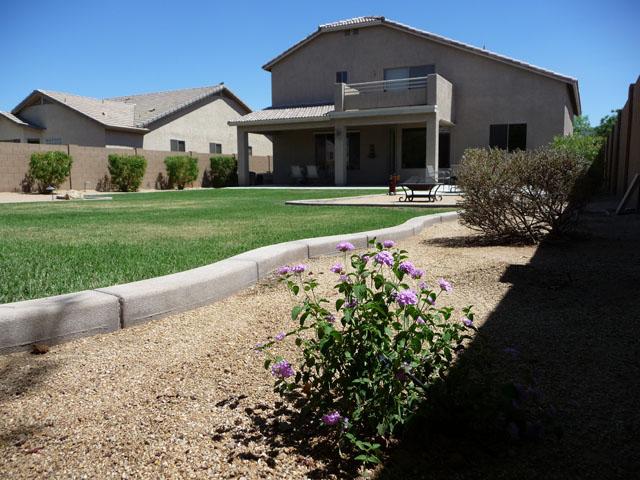2416 West Carter Road Phoenix, AZ 85041 - Photo 6 of 32 a front view of a house with a garden and trees