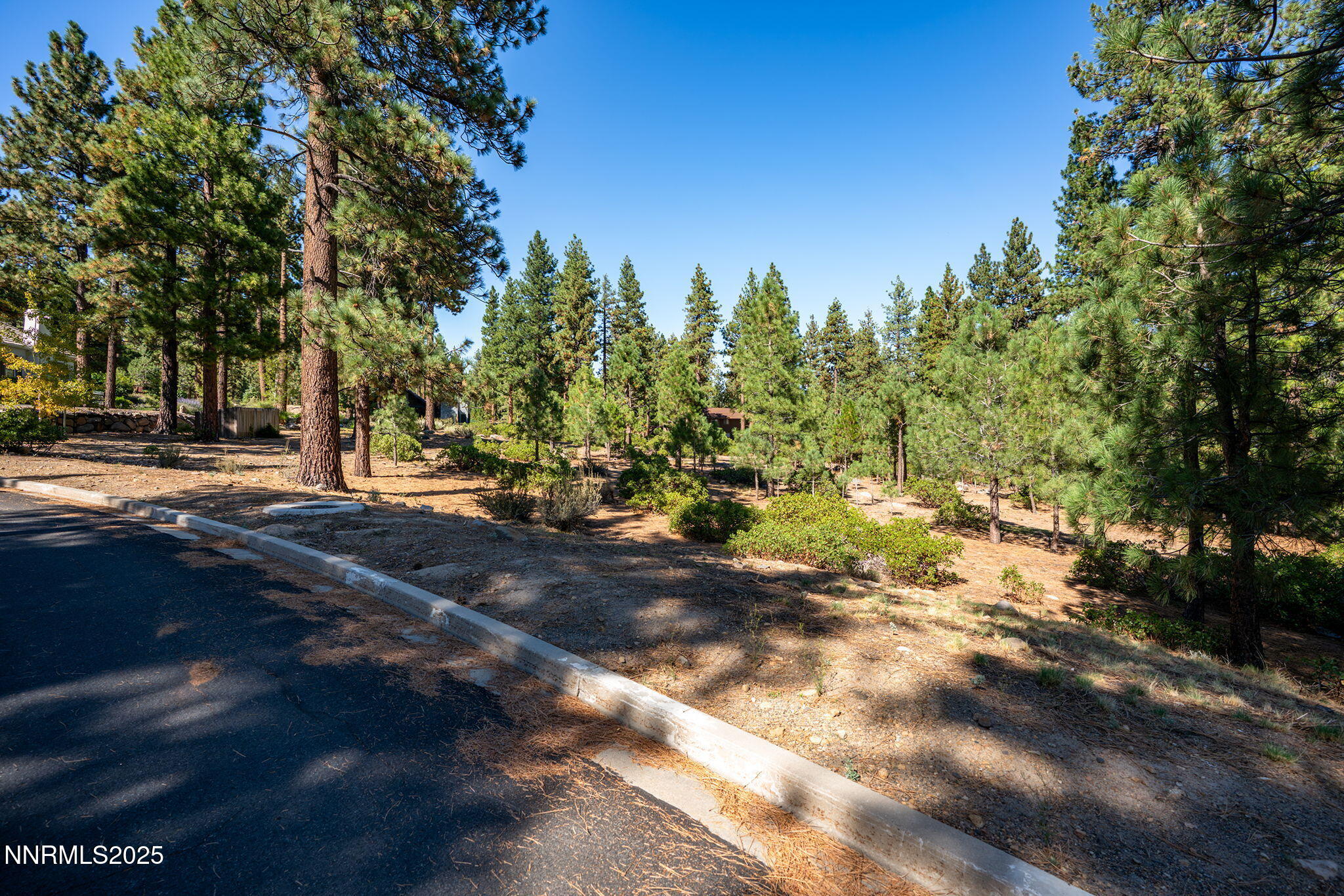 293 East Jeffrey Pine Road Reno, NV 89511 - Photo 7 of 13 3-web-or-mls-_DSC3308