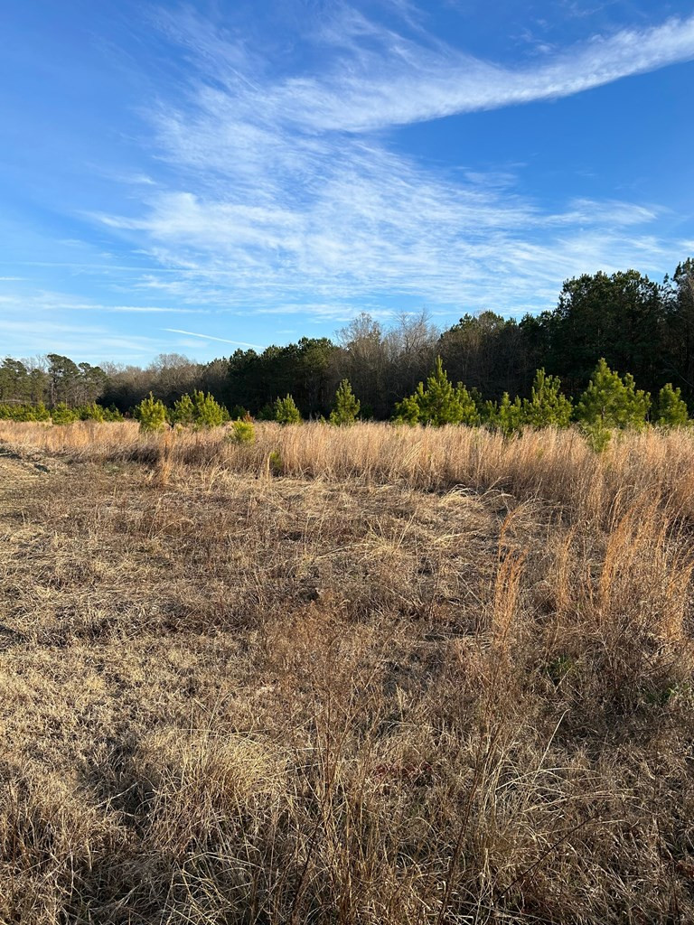 - Ellerbe Mill Road Rembert, SC 29128 - Photo 3 of 4