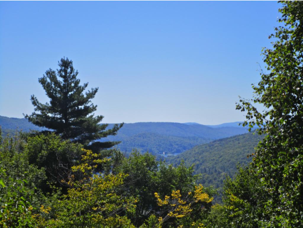 1295 Salt Ash Road Plymouth, VT 05056 - Photo 3 of 20 Gallery Image 3