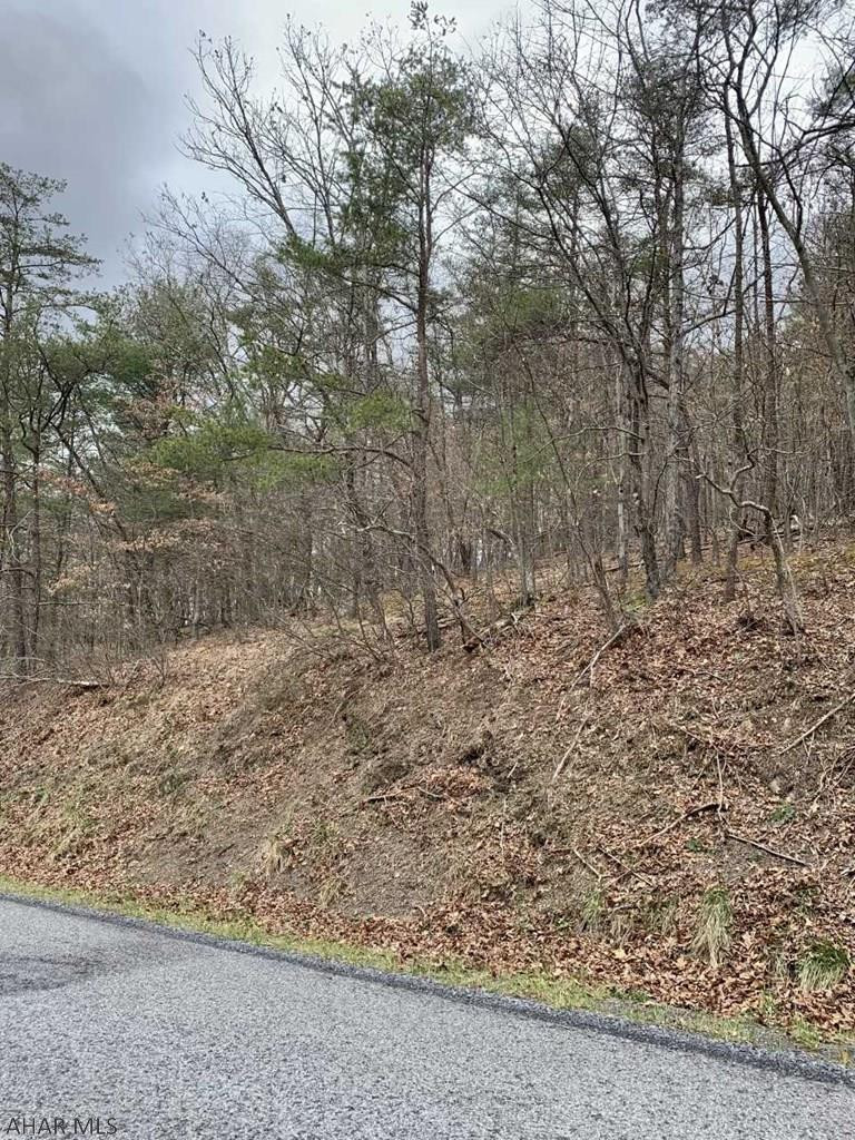 0 Rice Road Clearville, PA 15535 - Photo 2 of 4